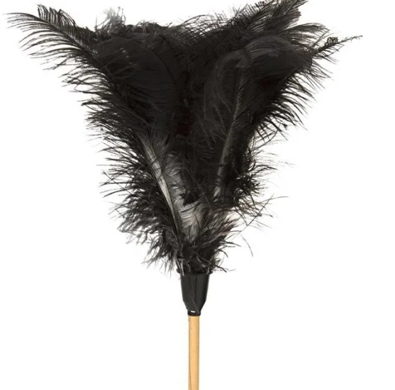 (image for) Feather Duster