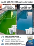 MAXCHLOR GOLD Chlorine