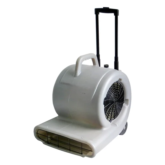 Carpet Blower Grey